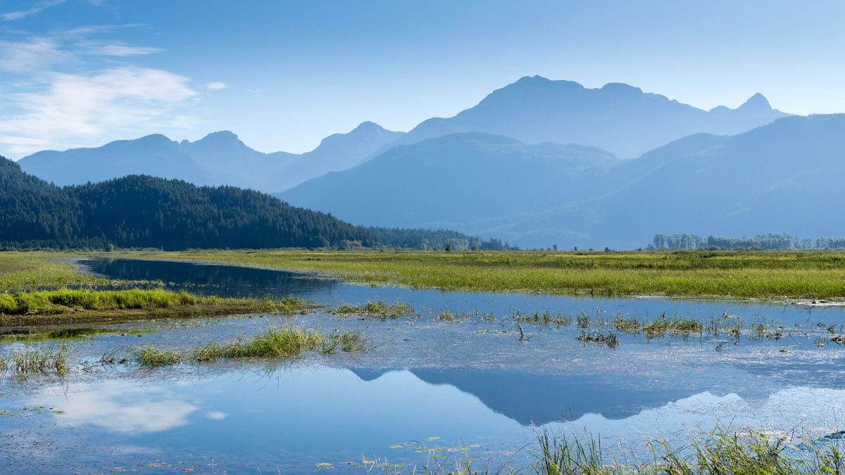 Widgeon Marsh Walk