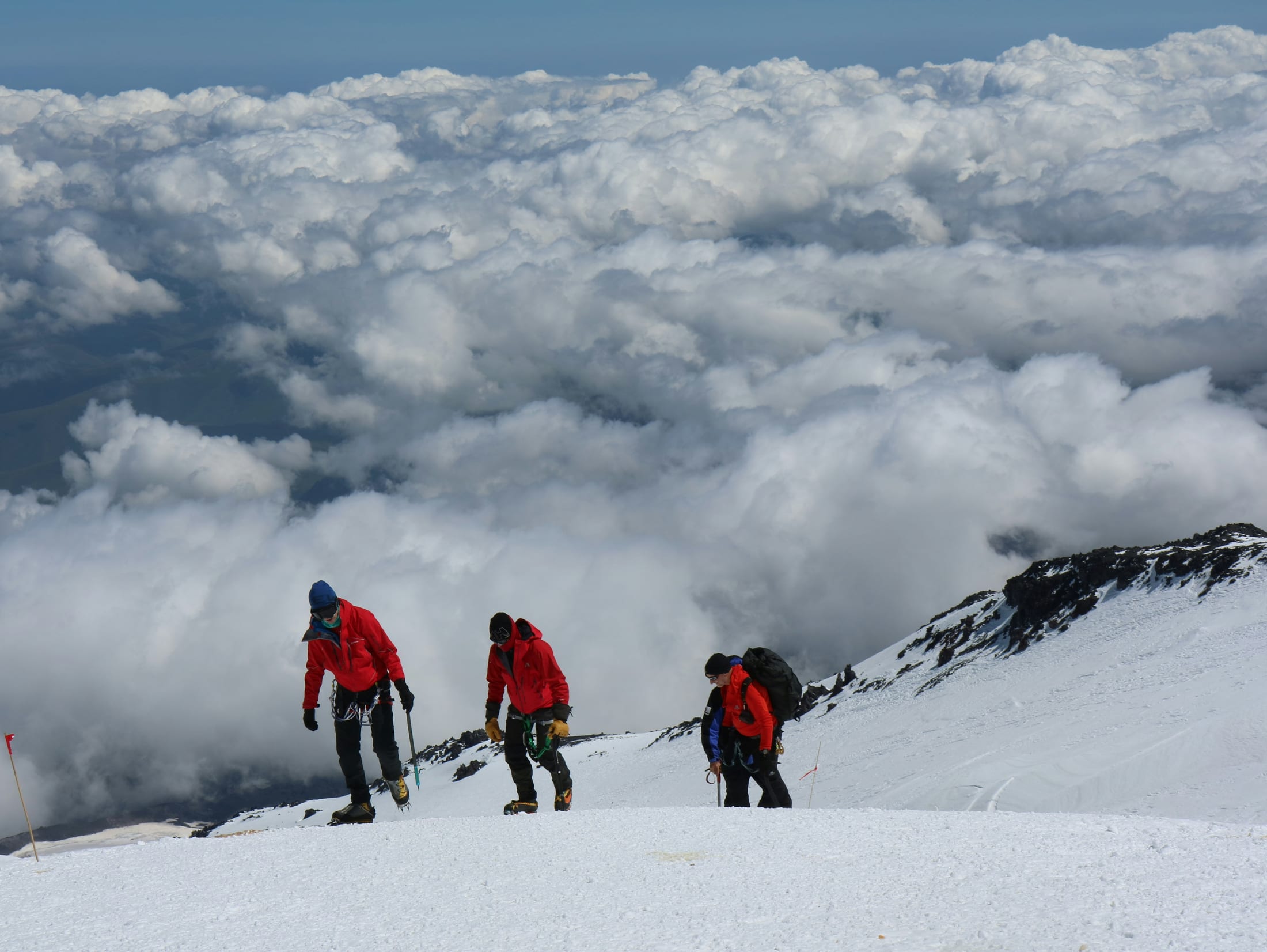 8 Days Lemosho Route Mount Kilimanjaro Climbing