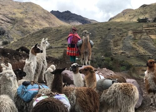 Llama Lares Trek to Machu Picchu 4 Days / 3 Nights