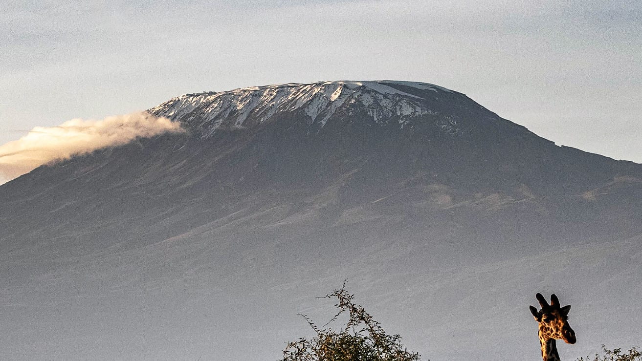 6 Days Mount Kilimanjaro Trek via the Rongai Route