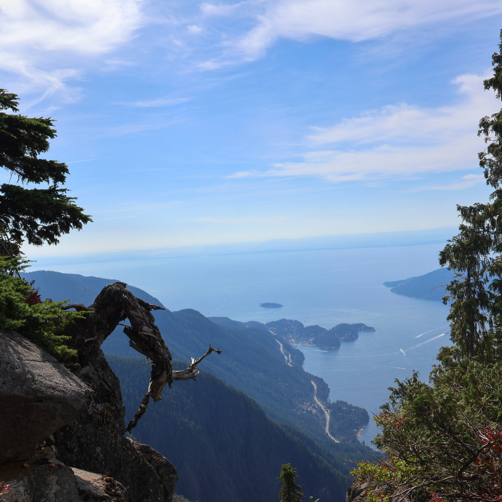 St. Mark's Summit