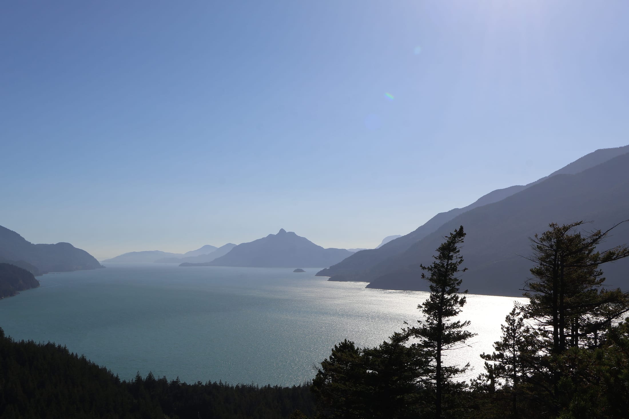 Quercus Lookout Trail